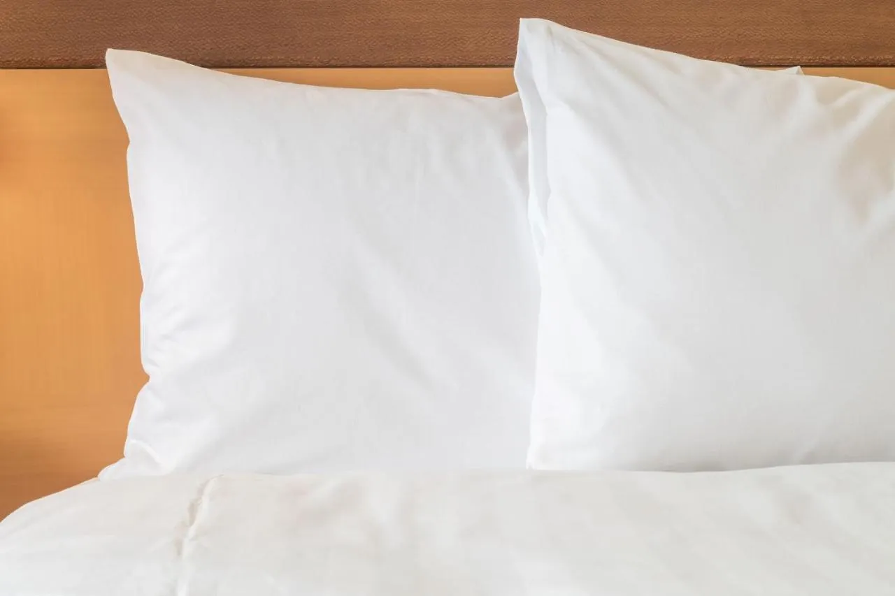 Holiday Inn Express Shanghai Putuo By Ihg 3*,